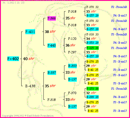 Pedigree of F-402 :
four generations presented