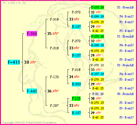 Pedigree of F-411 :
four generations presented