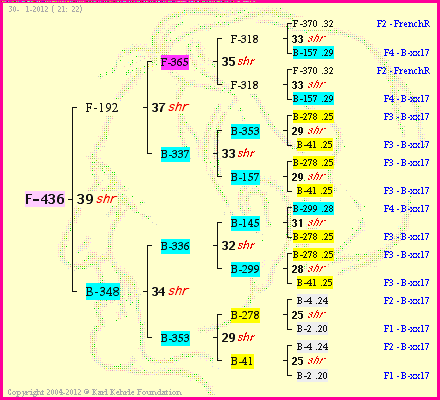 Pedigree of F-436 :
four generations presented