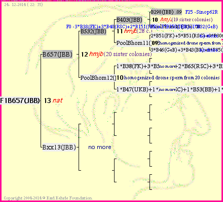 Pedigree of F1B657(JBB) :
four generations presented