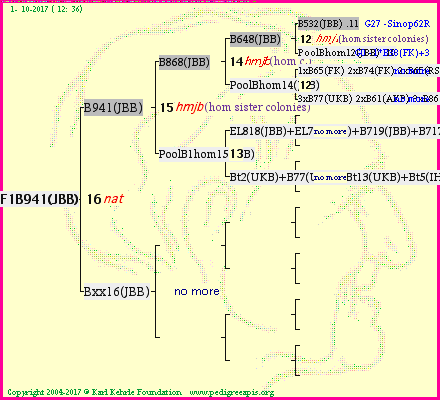 Pedigree of F1B941(JBB) :
four generations presented<br />it's temporarily unavailable, sorry!