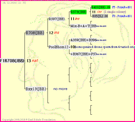 Pedigree of F1R708(JBB) :
four generations presented
