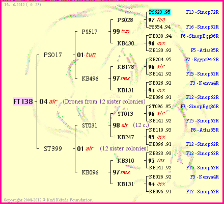 Pedigree of FT138 :
four generations presented