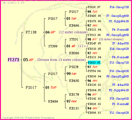 Pedigree of FT273 :
four generations presented