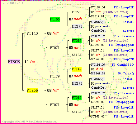 Pedigree of FT303 :
four generations presented