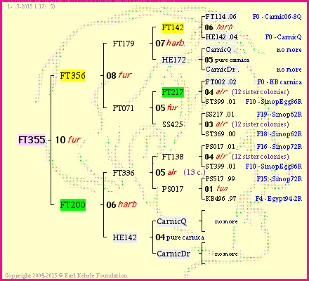 Pedigree of FT355 :
four generations presented