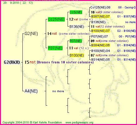 Pedigree of G2(RKR) :
four generations presented<br />it's temporarily unavailable, sorry!