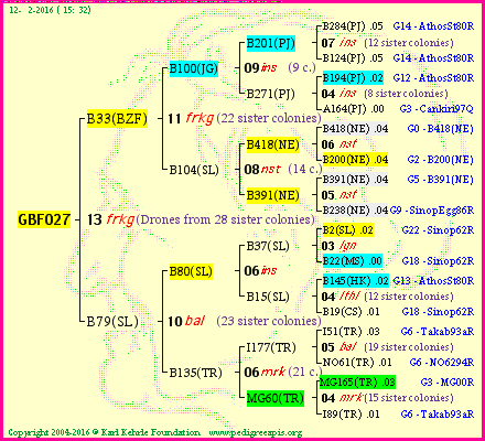 Pedigree of GBF027 :
four generations presented