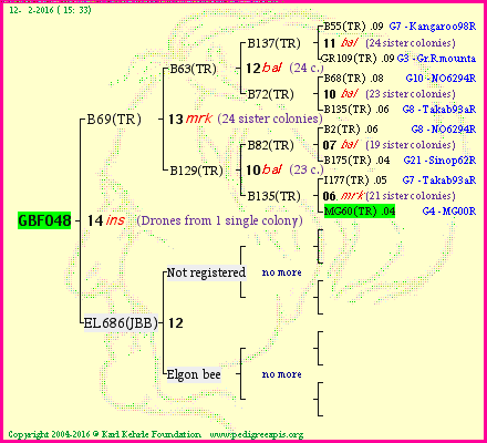 Pedigree of GBF048 :
four generations presented