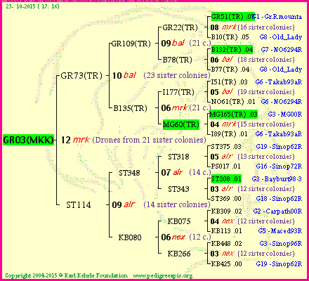 Pedigree of GR03(MKK) :
four generations presented