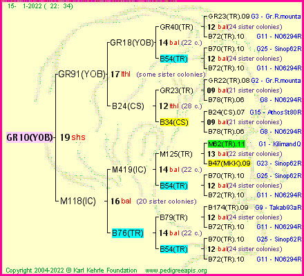 Pedigree of GR10(YOB) :
four generations presented
it's temporarily unavailable, sorry!