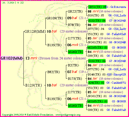 Pedigree of GR102(MM) :
four generations presented<br />it's temporarily unavailable, sorry!