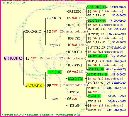 Pedigree of GR103(IC) :
four generations presented