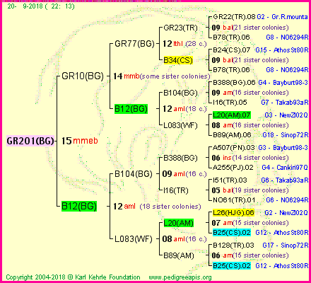 Pedigree of GR201(BG) :
four generations presented<br />it's temporarily unavailable, sorry!