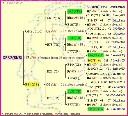 Pedigree of GR32(RKR) :
four generations presented