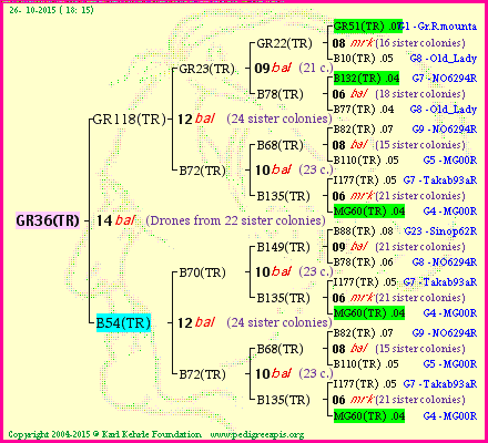 Pedigree of GR36(TR) :
four generations presented