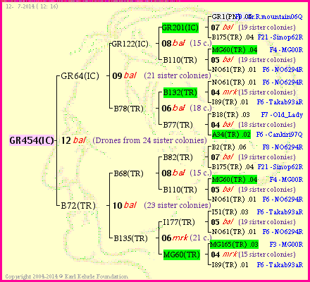 Pedigree of GR454(IC) :
four generations presented