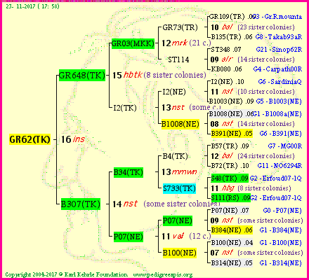 Pedigree of GR62(TK) :
four generations presented