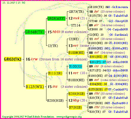 Pedigree of GR63(TK) :
four generations presented
