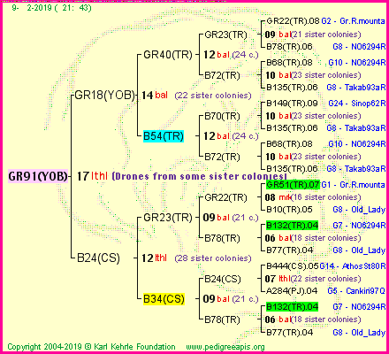 Pedigree of GR91(YOB) :
four generations presented<br />it's temporarily unavailable, sorry!