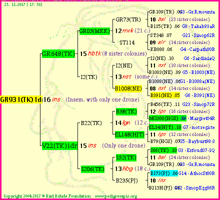 Pedigree of GR931(TK)1dr :
four generations presented