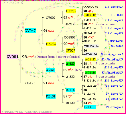 Pedigree of GV001 :
four generations presented