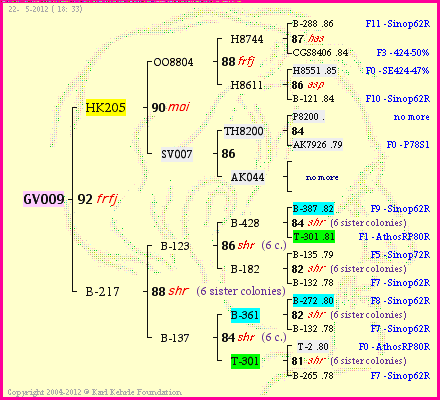 Pedigree of GV009 :
four generations presented