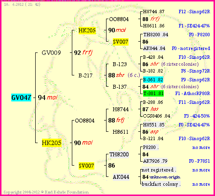 Pedigree of GV047 :
four generations presented