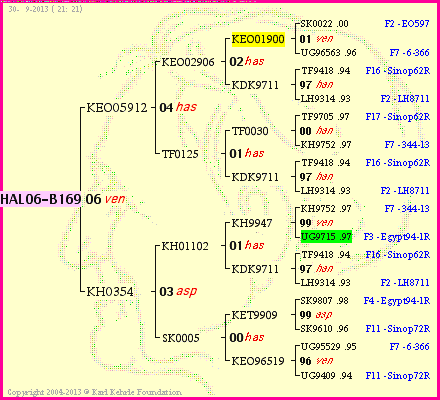 Pedigree of HAL06-B169 :
four generations presented