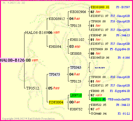 Pedigree of HAL08-B126 :
four generations presented