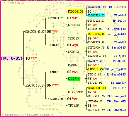 Pedigree of HAL10-B51 :
four generations presented