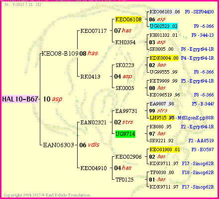 Pedigree of HAL10-B67 :
four generations presented