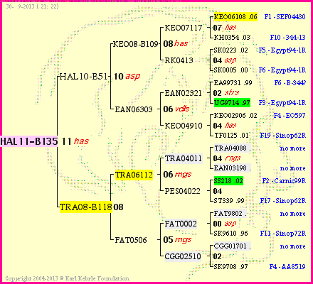 Pedigree of HAL11-B135 :
four generations presented