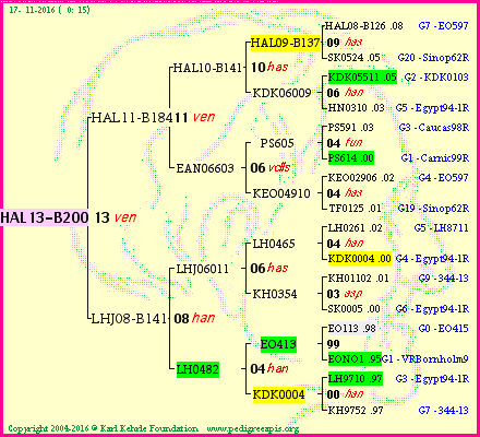 Pedigree of HAL13-B200 :
four generations presented