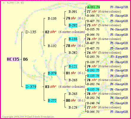 Pedigree of HC135 :
four generations presented
it's temporarily unavailable, sorry!