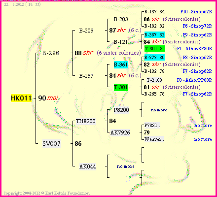 Pedigree of HK011 :
four generations presented