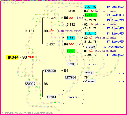 Pedigree of HK044 :
four generations presented