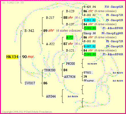 Pedigree of HK134 :
four generations presented