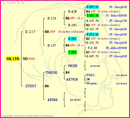 Pedigree of HK138 :
four generations presented