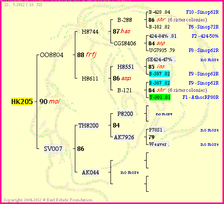 Pedigree of HK205 :
four generations presented