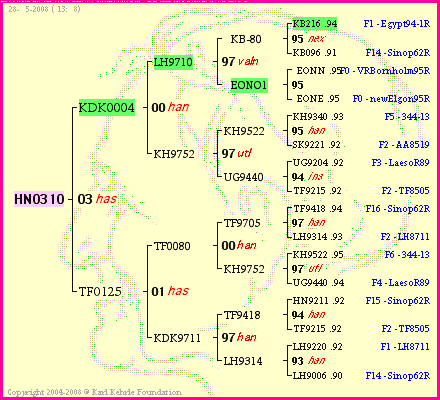 Pedigree of HN0310 :
four generations presented