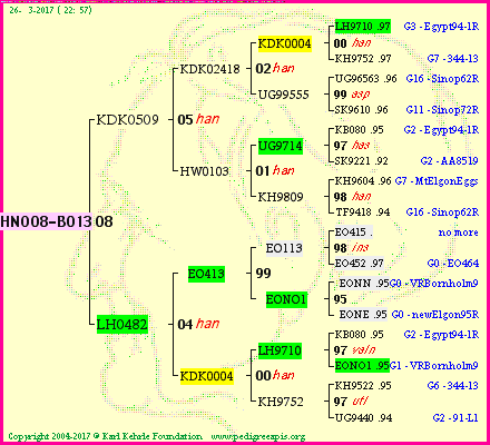 Pedigree of HNO08-B013 :
four generations presented