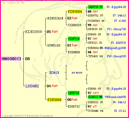 Pedigree of HNO08013 :
four generations presented