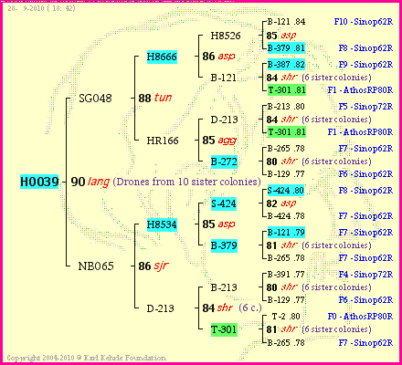 Pedigree of HO039 :
four generations presented