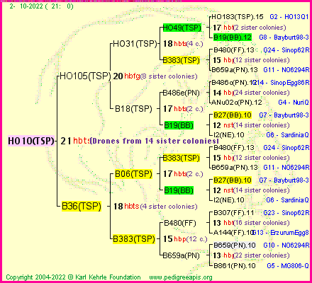 Pedigree of HO10(TSP) :
four generations presented
it's temporarily unavailable, sorry!