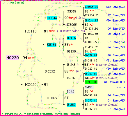 Pedigree of HO220 :
four generations presented
