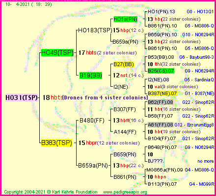 Pedigree of HO31(TSP) :
four generations presented
it's temporarily unavailable, sorry!