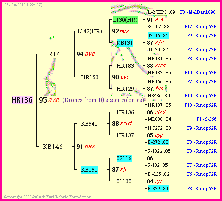 Pedigree of HR136 :
four generations presented