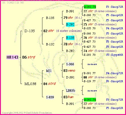 Pedigree of HR143 :
four generations presented