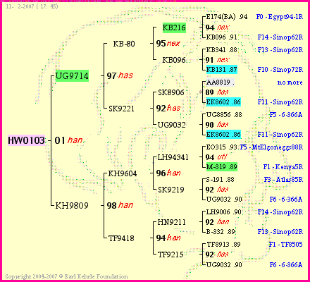 Pedigree of HW0103 :
four generations presented